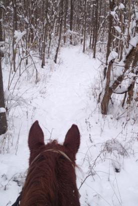 Winter horseback ride at Natural Valley Ranch