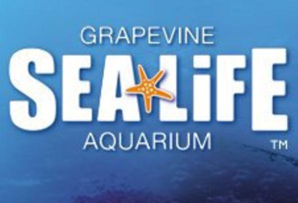 sea life grapevine aquarium 5 off