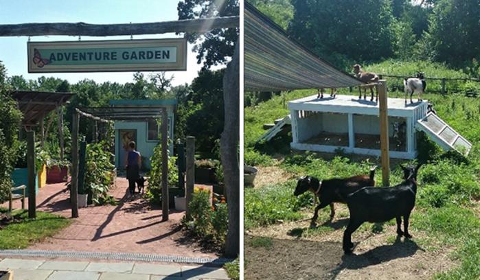 Gabis Arboretum Adventure Garden by Katharine Stob