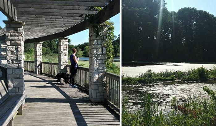 Gabis Arboretum Savannah Wetlands by Katharine Stob