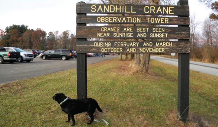 Jasper Pulaski Sandhill Crane sign - Katherine Stob