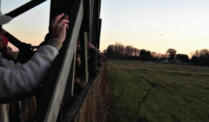 Jasper Pulaski Sandhill Crane viewing - Katherine Stob