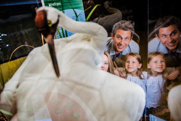 Lambton Heritage Museum Bird