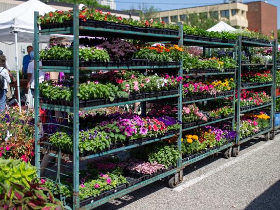 Rochester Farmers Market | Credit AB-Photography.us