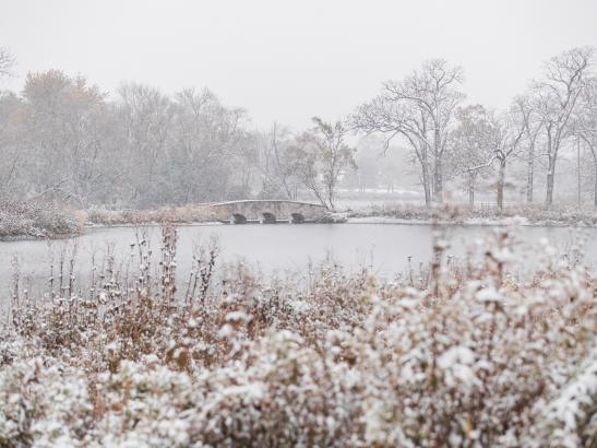 Silver Lake | Credit AB-Photography.us