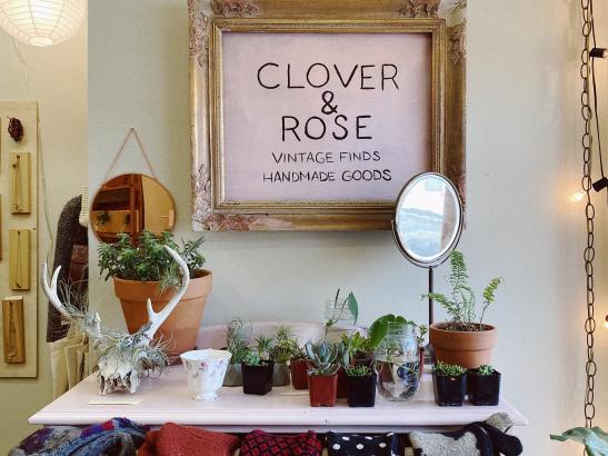 Clover & Rose | credit AB-PHOTOGRAPHY.US