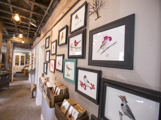 dwell local | credit TJ Turner