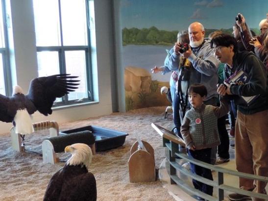 Guests at the National Eagle Center