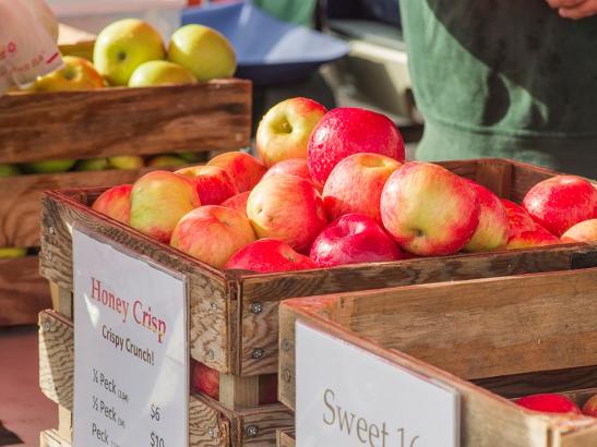 Farmers Market | credit choochoo-ca-chew