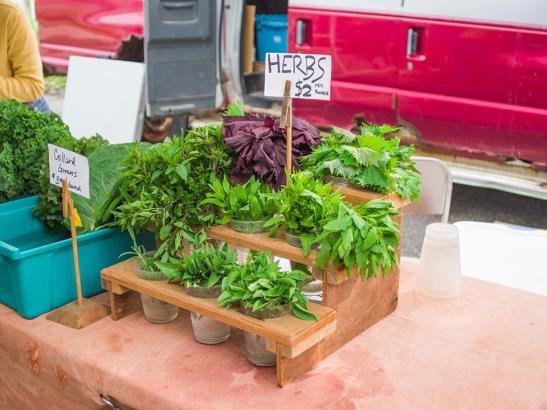 Farmers Market | credit choochoo-ca-chew