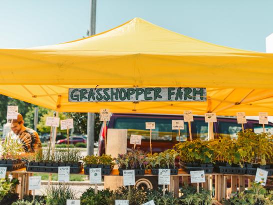 Farmers Market | credit AB-PHOTOGRAPHY.US