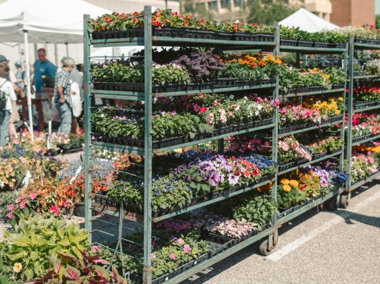 Farmers Market | credit AB-PHOTOGRAPHY.US