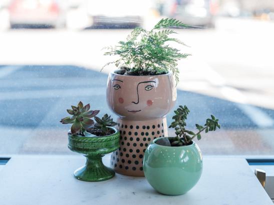 Fiddlehead Coffee Co. | credit AB-PHOTOGRAPHY.US
