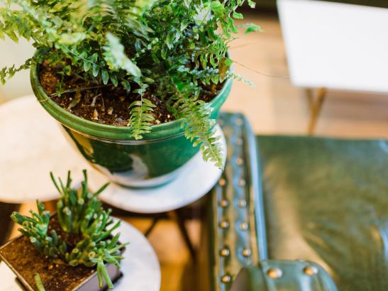 Fiddlehead Coffee | credit AB-PHOTOGRAPHY.US
