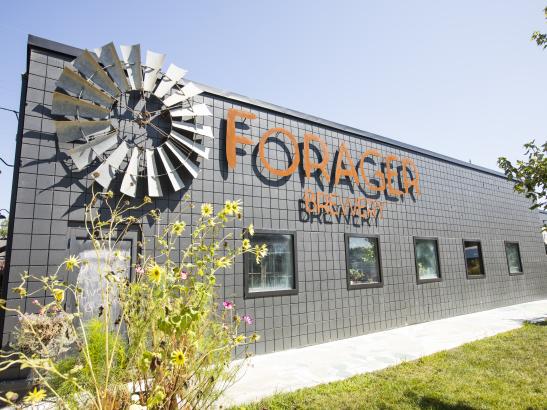 Forager Brewery | credit TJ Turner