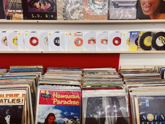 Hidden World Vinyl Records | credit AB-PHOTOGRAPHY.US