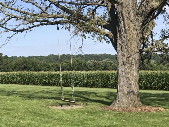 Mayowood Stone Barn | credit Experience Rochester