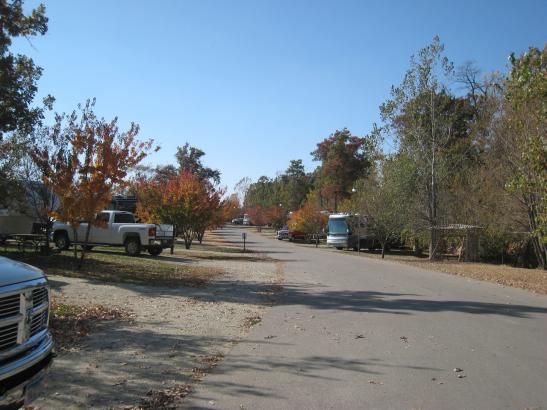 AutumnWoods During the Fall