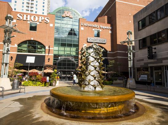 Galleria At University Square Rochester Mn 55904