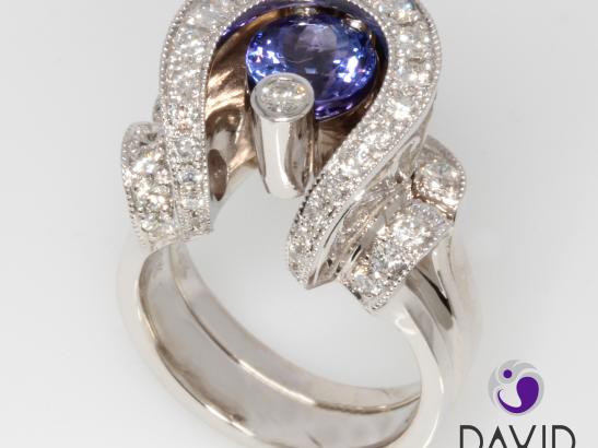 Image provided by David Iver