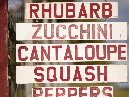 Rochester’s largest grower of fresh produce | credit AB-PHOTOGRAPHY.US