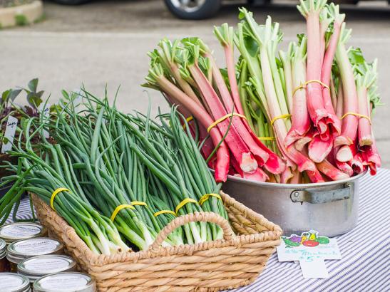 Farmers Market | credit Rochester Farmers Market