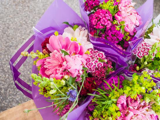 Farmers Market | credit Rochester Farmers Market