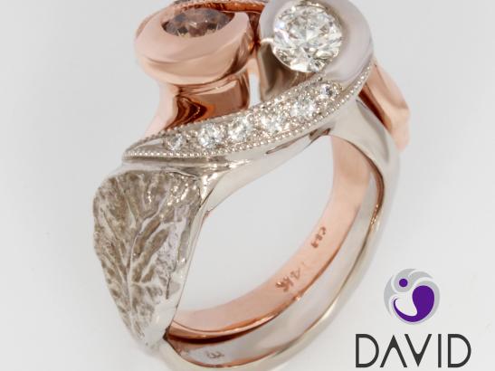 Image provided by David Iver