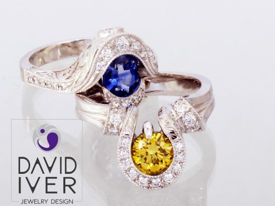 Image provided by David Iver