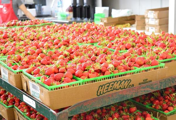 Heeman's Strawberry