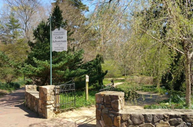 Coker Arboretum