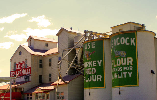 lehi roller mill