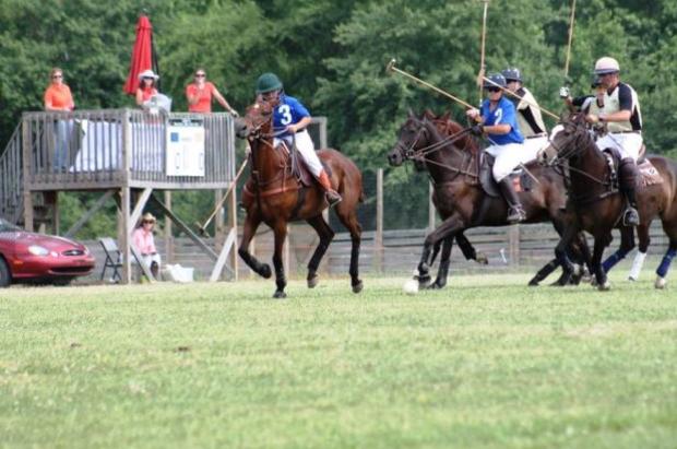 Triangle Area Polo Crooked Creek Farm