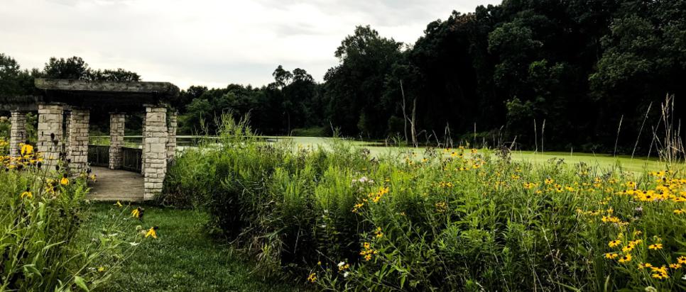 Gabis Arboretum - Carolyn Hricik