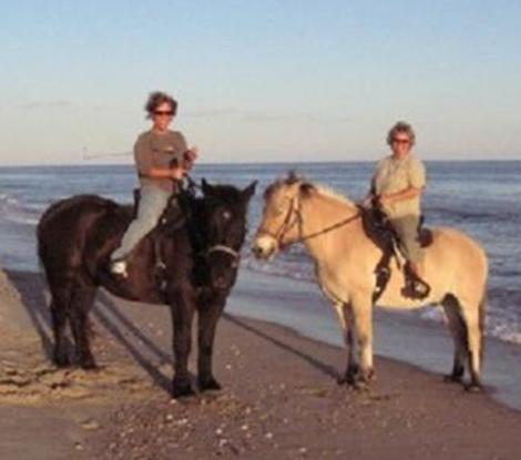 Hatteras Island Horseback Riding Hatteras Nc 27943