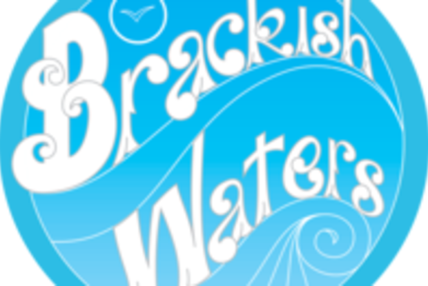 Brackish Waters
