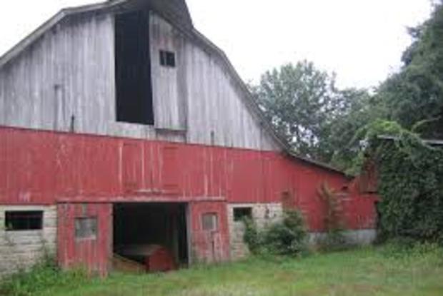 Duvall Tobacco Barns