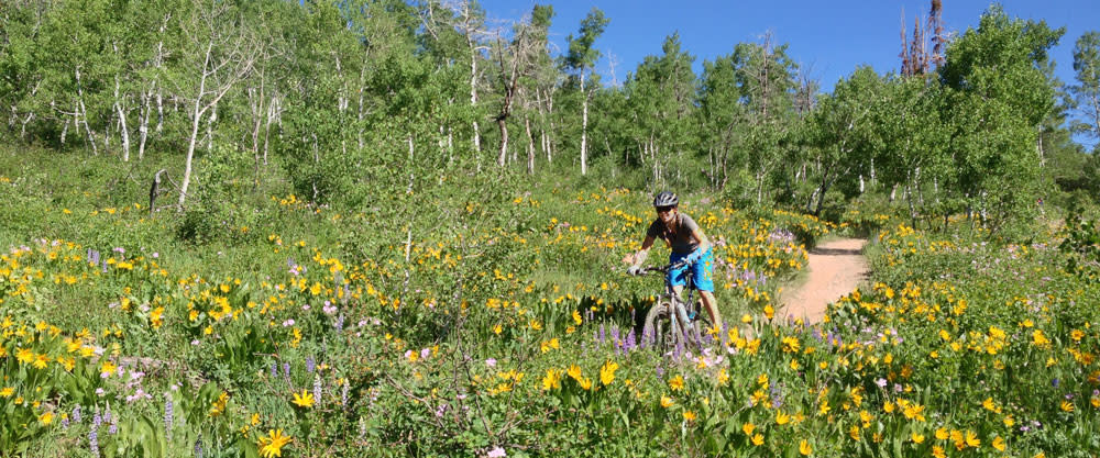 Mountain Biking on Spring Creek Trail Steamboat Springs, Colorado 