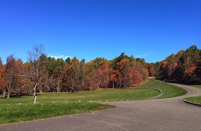 Blue Ridge Parkway View - Fall Photo