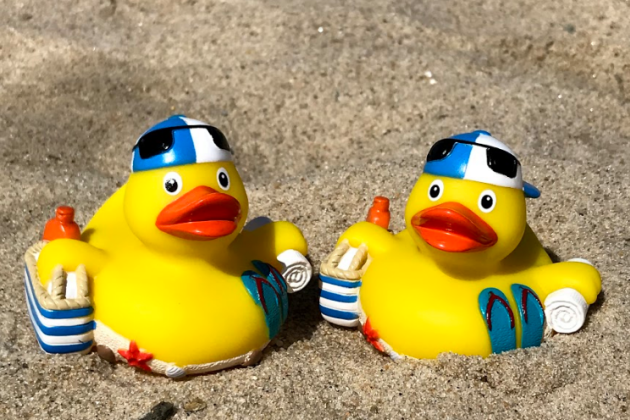 Ducks-2ducks