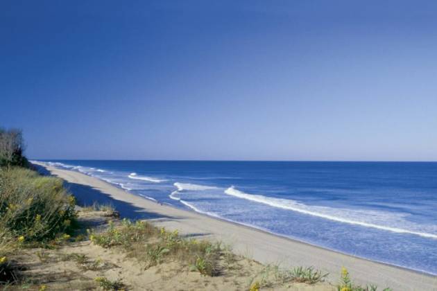 NTU-Beach