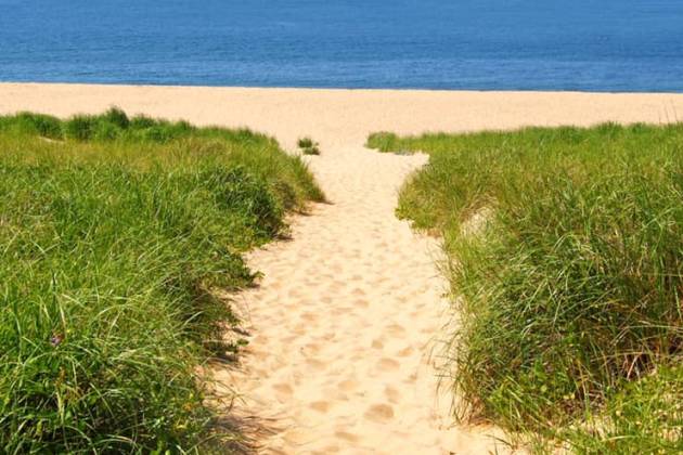 Beach Image