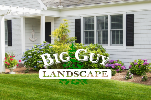 big Guy Landscape