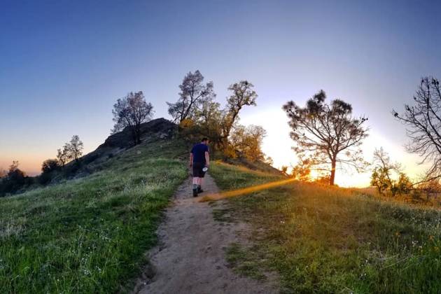 Pincushion Trail by Katie Bayliss