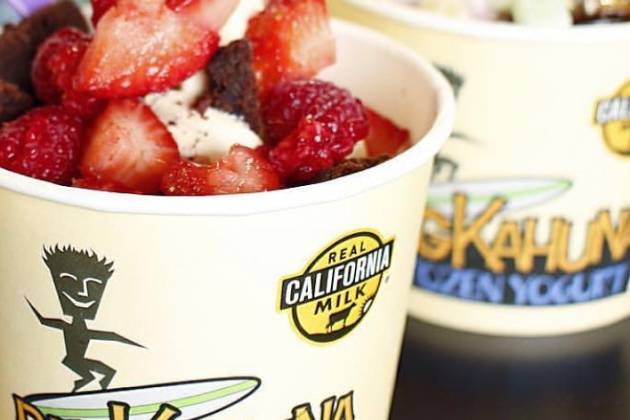 Big Kahuna Frozen Yogurt - Sierra Vista Mall