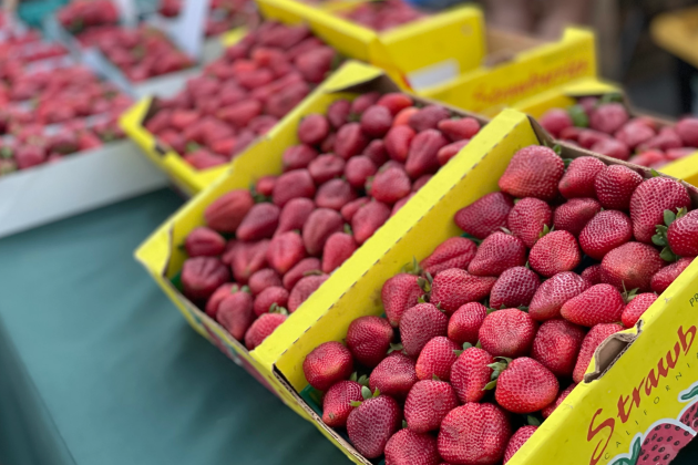 CCMC Market in the Parc