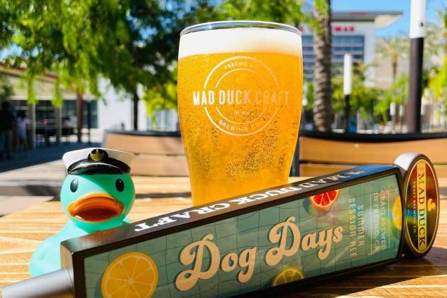 Mad Duck Craft Brewery Campus Pointe