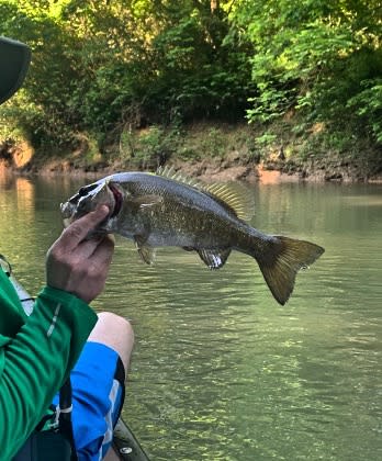 Drakes Creek is a popular fishing destination for locals and visitors alike.