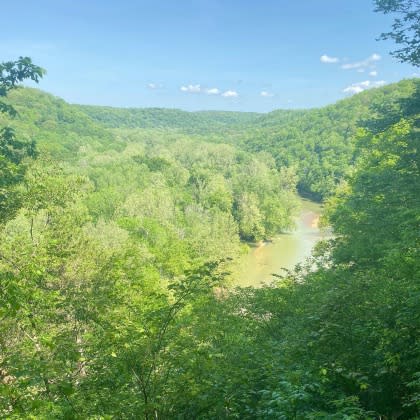 Overlooking the Green River from Mammoth Cave National Park.
