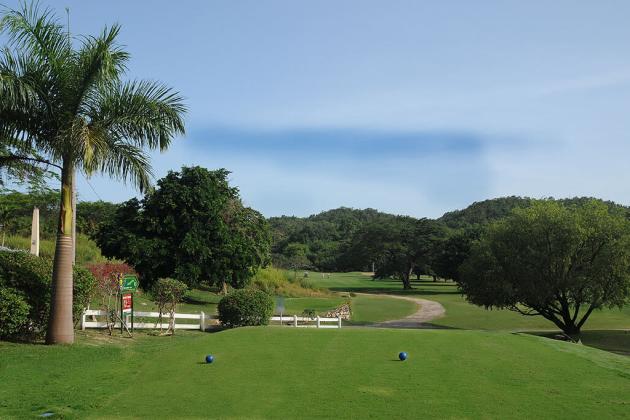 11-tee-v1